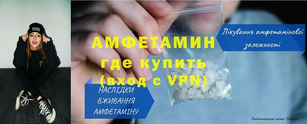 метадон Богданович