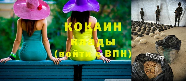 метадон Богданович