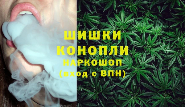 хмурый Бронницы