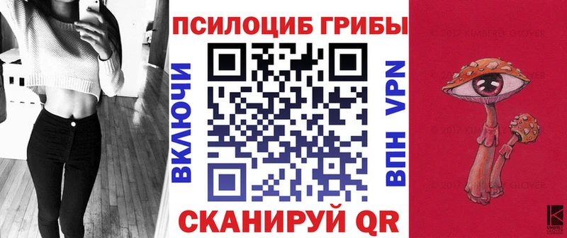 Псилоцибиновые грибы мухоморы  Купить где  Жуковка 
